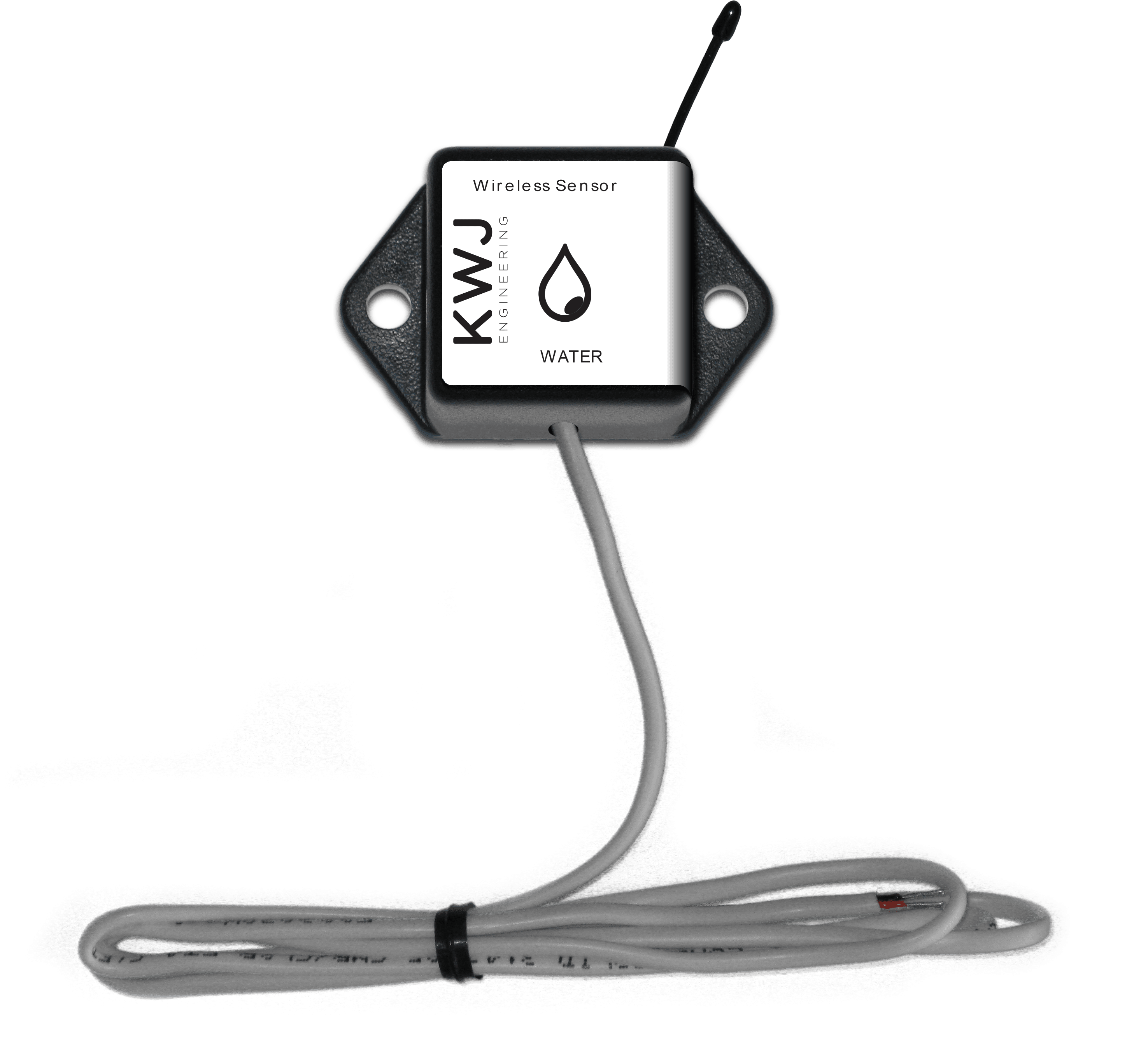 Portable Ozone Generator & Micro-Reactor Technology